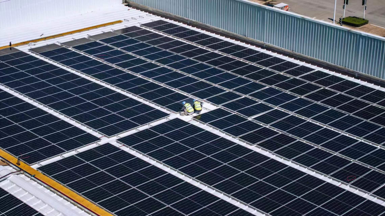 彩世界·(中国游)官方网站 -APP下载