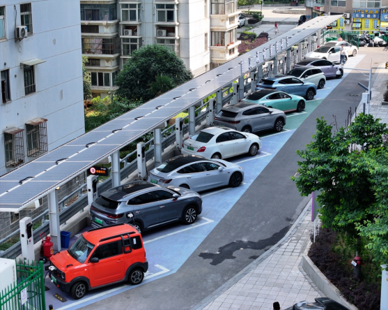 彩世界·(中国游)官方网站 -APP下载